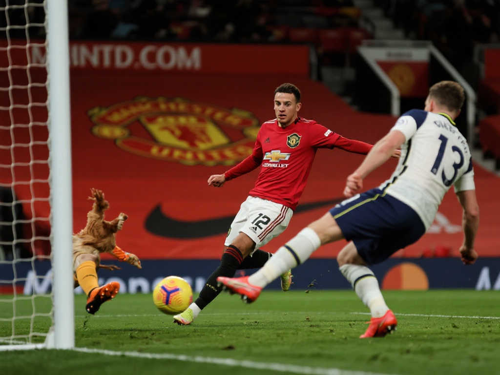 潜在影响 潜在影响